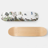 Audubon Collagen-Vogel-Tier-Tier-Skateboard Skateboard (Horizontal)