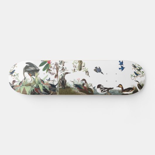 Audubon Collagen-Vogel-Tier-Tier-Skateboard Skateboard (Horizontal)