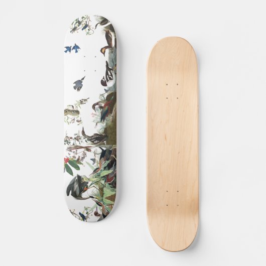 Audubon Collagen-Vogel-Tier-Tier-Skateboard Skateboard (Vorderseite)