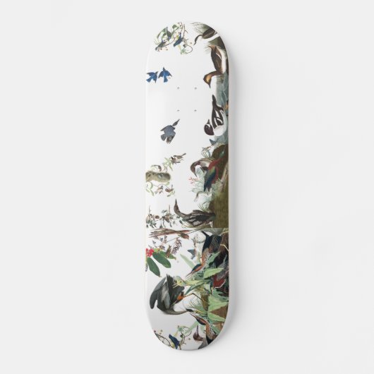 Audubon Collagen-Vogel-Tier-Tier-Skateboard Skateboard (Vorderseite)