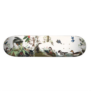 Audubon Collagen-Vogel-Tier-Tier-Skateboard Skateboard