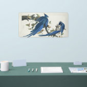 Audubon Columbia Jay Black Throated Magpie Jay Banner (Messe)