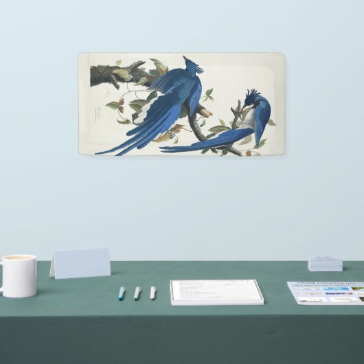 Audubon Columbia Jay Black Throated Magpie Jay Banner (Messe)