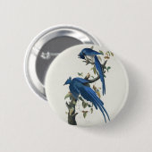Audubon Columbia Jay Black Throated Magpie Jay Button (Vorne & Hinten)