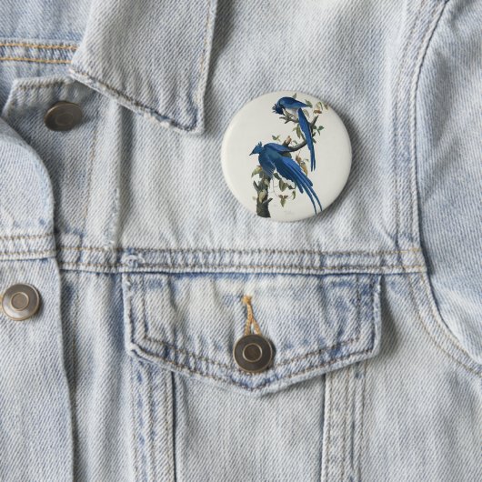 Audubon Columbia Jay Black Throated Magpie Jay Button (Beispiel)