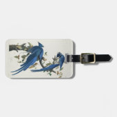 Audubon Columbia Jay Black Throated Magpie Jay Gepäckanhänger (Vorderseite horizontal)