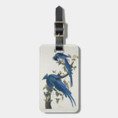 Audubon Columbia Jay Black Throated Magpie Jay Gepäckanhänger (Vorderseite vertikal)