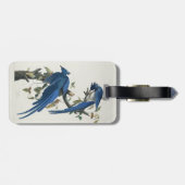 Audubon Columbia Jay Black Throated Magpie Jay Gepäckanhänger (Rückseite horizontal)