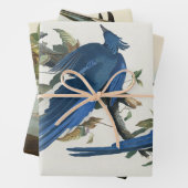 Audubon Columbia Jay Black Throated Magpie Jay Geschenkpapier Set (Beispiel)
