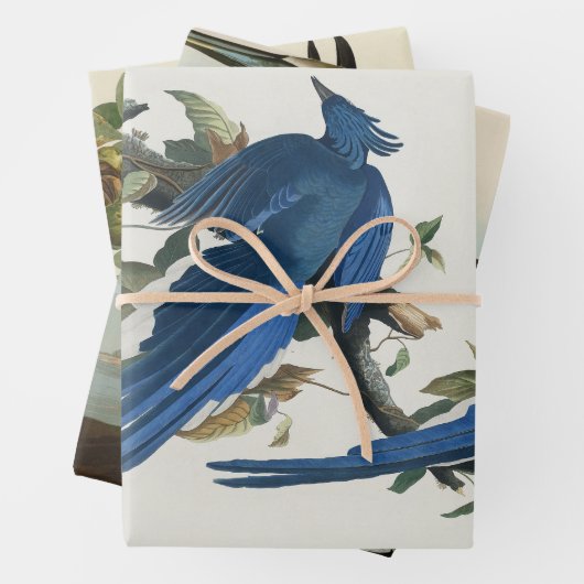 Audubon Columbia Jay Black Throated Magpie Jay Geschenkpapier Set (Beispiel)