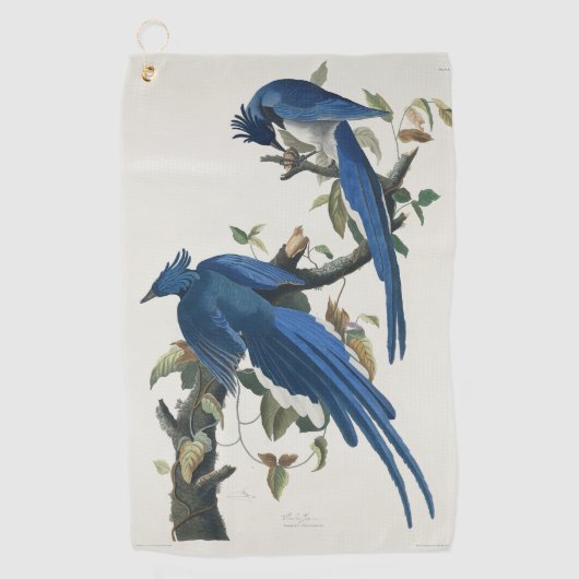 Audubon Columbia Jay Black Throated Magpie Jay Golfhandtuch (Vorderseite)