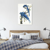 Audubon Columbia Jay Black Throated Magpie Jay Leinwanddruck (Insitu (Schlafzimmer))
