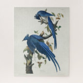 Audubon Columbia Jay Black Throated Magpie Jay Puzzle (Vertikal)
