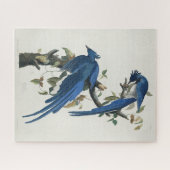 Audubon Columbia Jay Black Throated Magpie Jay Puzzle (Horizontal)