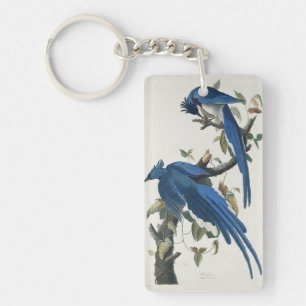 Audubon Columbia Jay Black Throated Magpie Jay Schlüsselanhänger