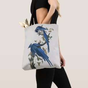 Audubon Columbia Jay Black Throated Magpie Jay Tasche