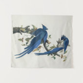 Audubon Columbia Jay Black Throated Magpie Jay Wandteppich (Vorderseite (Horizontal))