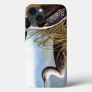 Audubon: Common Loon iPhone 13 Hülle