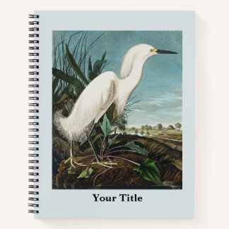 Audubon Crane Historische Tierwelt Zeichnend Notizblock