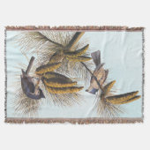 Audubon Crested Titmouse Birds in Pine Tree Decke (Vorderseite)