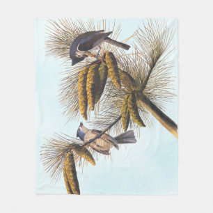 Audubon Crested Titmouse Birds in Pine Tree Fleecedecke