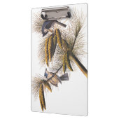 Audubon Crested Titmouse Birds in Pine Tree Klemmbrett (Links)