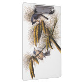 Audubon Crested Titmouse Birds in Pine Tree Klemmbrett (Rechts)