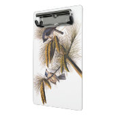 Audubon Crested Titmouse Birds in Pine Tree Mini Klemmbrett (Gewinkelt2)