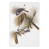 Audubon Crested Titmouse Birds in Pine Tree Mini Klemmbrett (Rückseite)