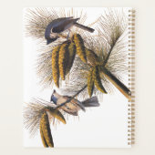 Audubon Crested Titmouse Birds in Pine Tree Planer (Rückseite)