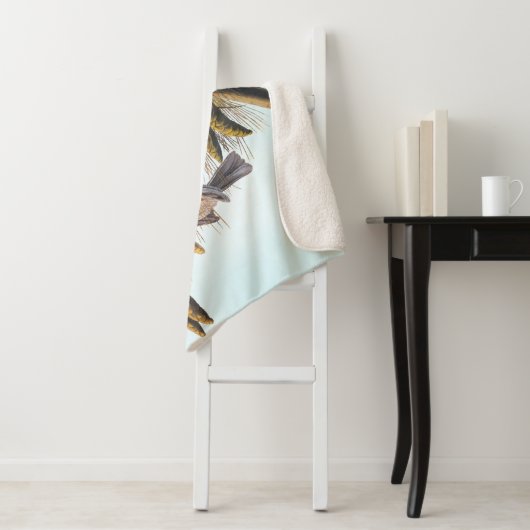 Audubon Crested Titmouse Birds in Pine Tree Sherpadecke (Beispiel)