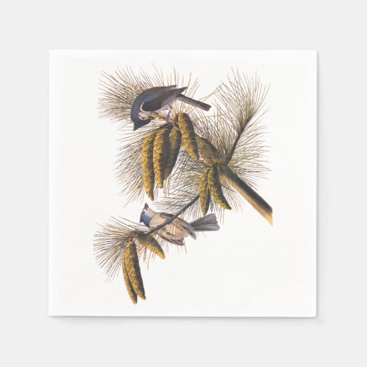 Audubon Crested Titmouse Cocktail Napkins Serviette (Vorderseite)