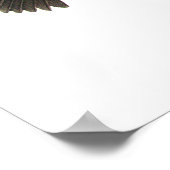 Audubon Crossbill Poster (Ecke)