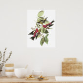 Audubon Crossbill Poster (Küche)