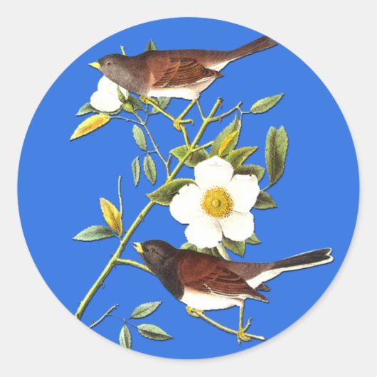 Audubon Dark Mit Augen Junco Bird Art Stickers (Vorderseite)