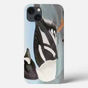 Audubon: Der Goldeneye des Karrens Case-Mate iPhone Hülle