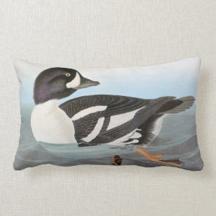 Audubon: Der Goldeneye des Karrens Lendenkissen