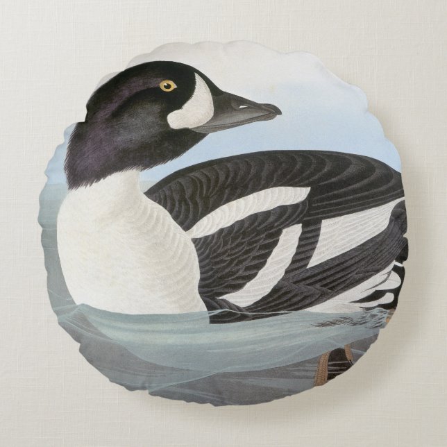 Audubon: Der Goldeneye des Karrens Rundes Kissen (Vorderseite)