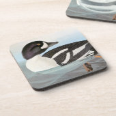 Audubon: Der Goldeneye des Karrens Untersetzer (Linke Seite)