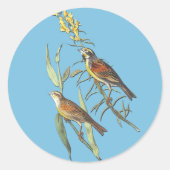 Audubon Dickcissel Bird Art Stickers (Vorderseite)