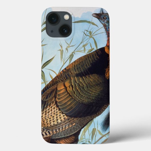 Audubon: Die wilde Türkei Case-Mate iPhone Hülle (Rückseite)