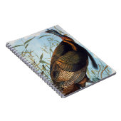 Audubon: Die wilde Türkei Notizblock (Rechte Seite)