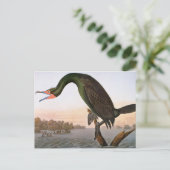 Audubon: Doppelkreuz Postkarte (Stehend Vorderseite)