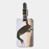 Audubon: Doppelter Kormoran mit Haube Gepäckanhänger (Vorderseite vertikal)