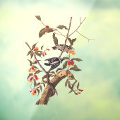 Audubon Downy Woodpecker Couple mit Blume Fensteraufkleber (Blatt 3)