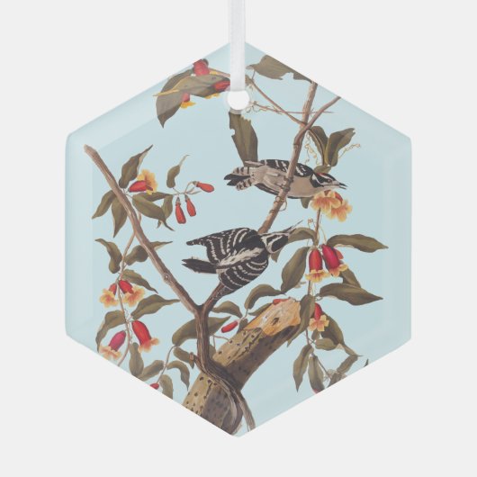 Audubon Downy Woodpecker Couple mit Blume Ornament Aus Glas (Vorderseite)