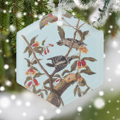 Audubon Downy Woodpecker Couple mit Blume Ornament Aus Glas