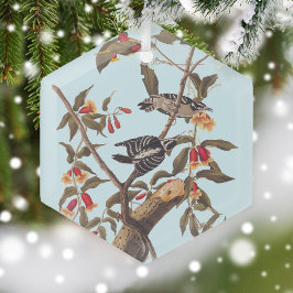 Audubon Downy Woodpecker Couple mit Blume Ornament Aus Glas