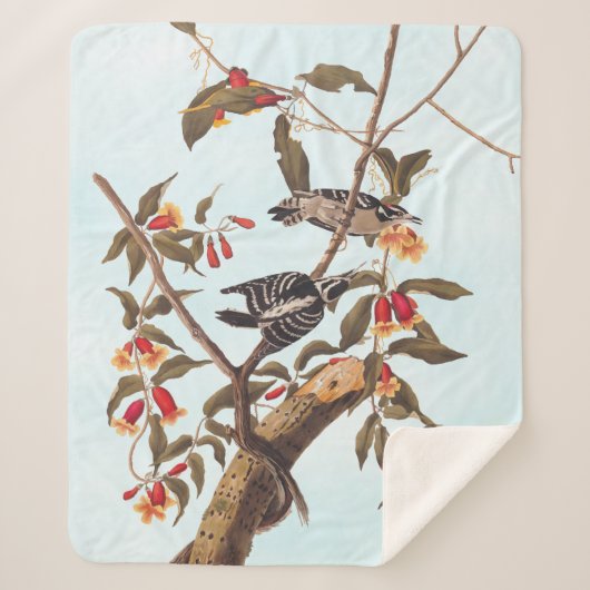 Audubon Downy Woodpecker Couple mit Blume Sherpadecke (Vorderseite)