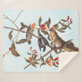 Audubon Downy Woodpecker Couple mit Blume Sherpadecke (Vorderseite (Horizontal))